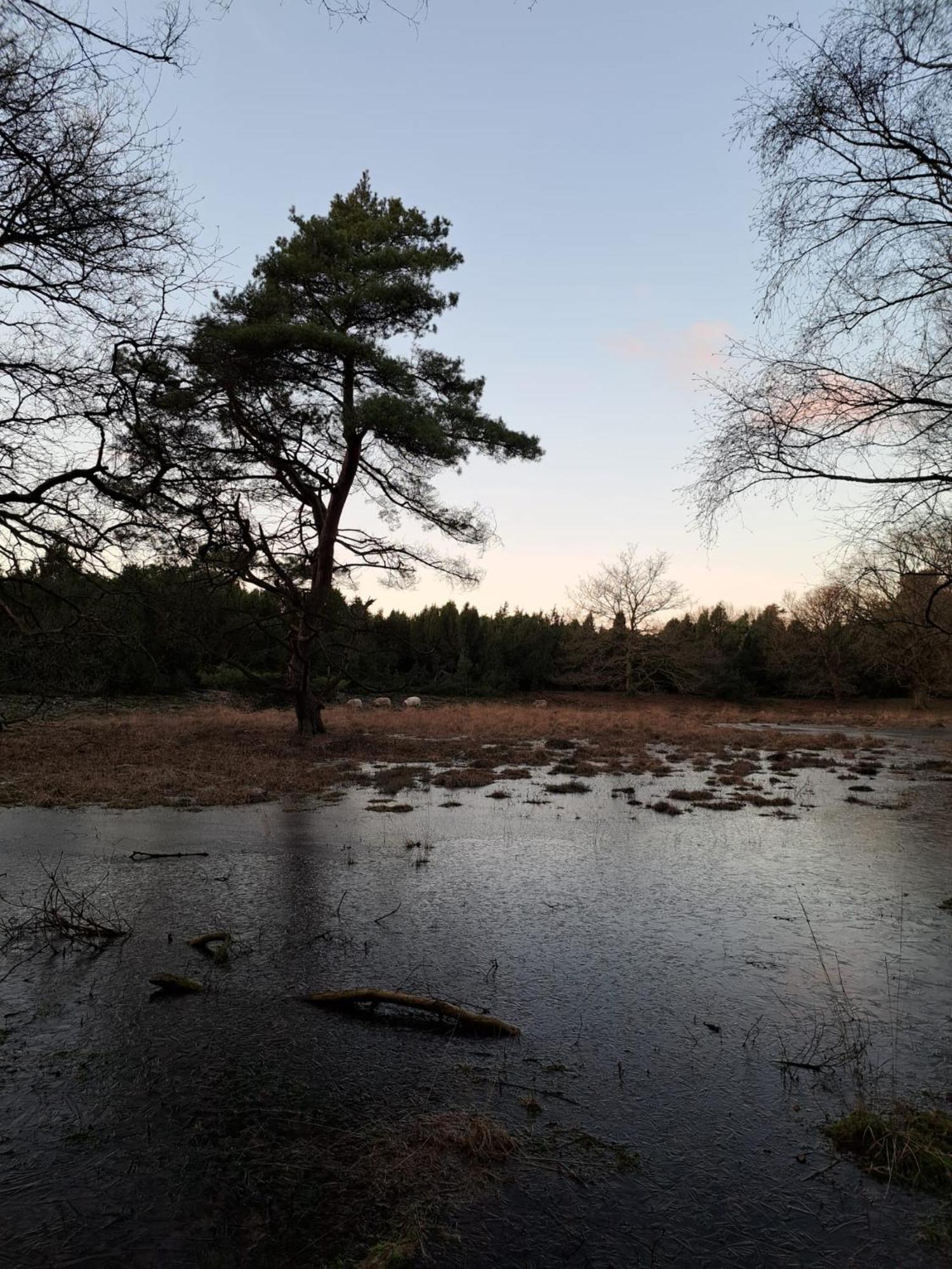 Natuurhuisje Meppen Экстерьер фото
