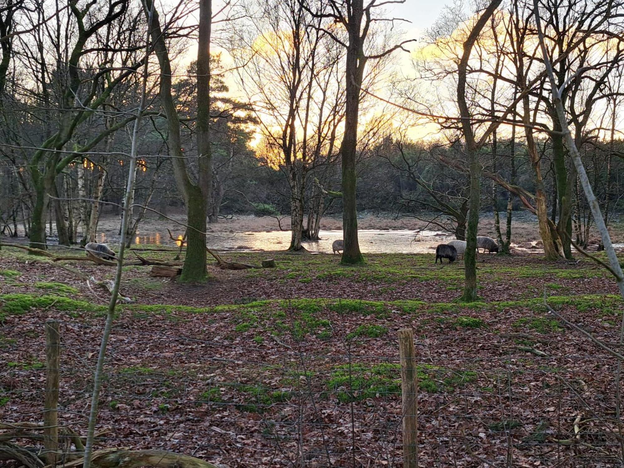 Natuurhuisje Meppen Экстерьер фото
