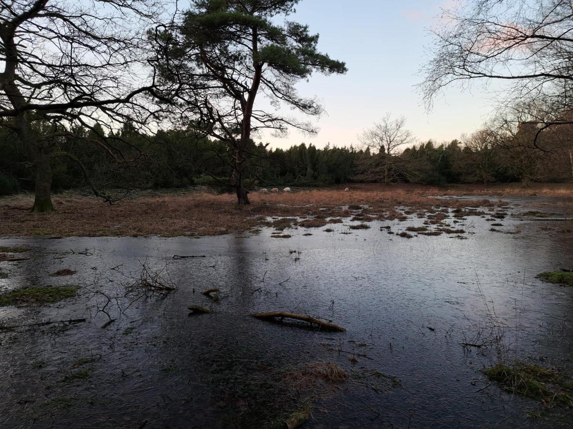 Natuurhuisje Meppen Экстерьер фото