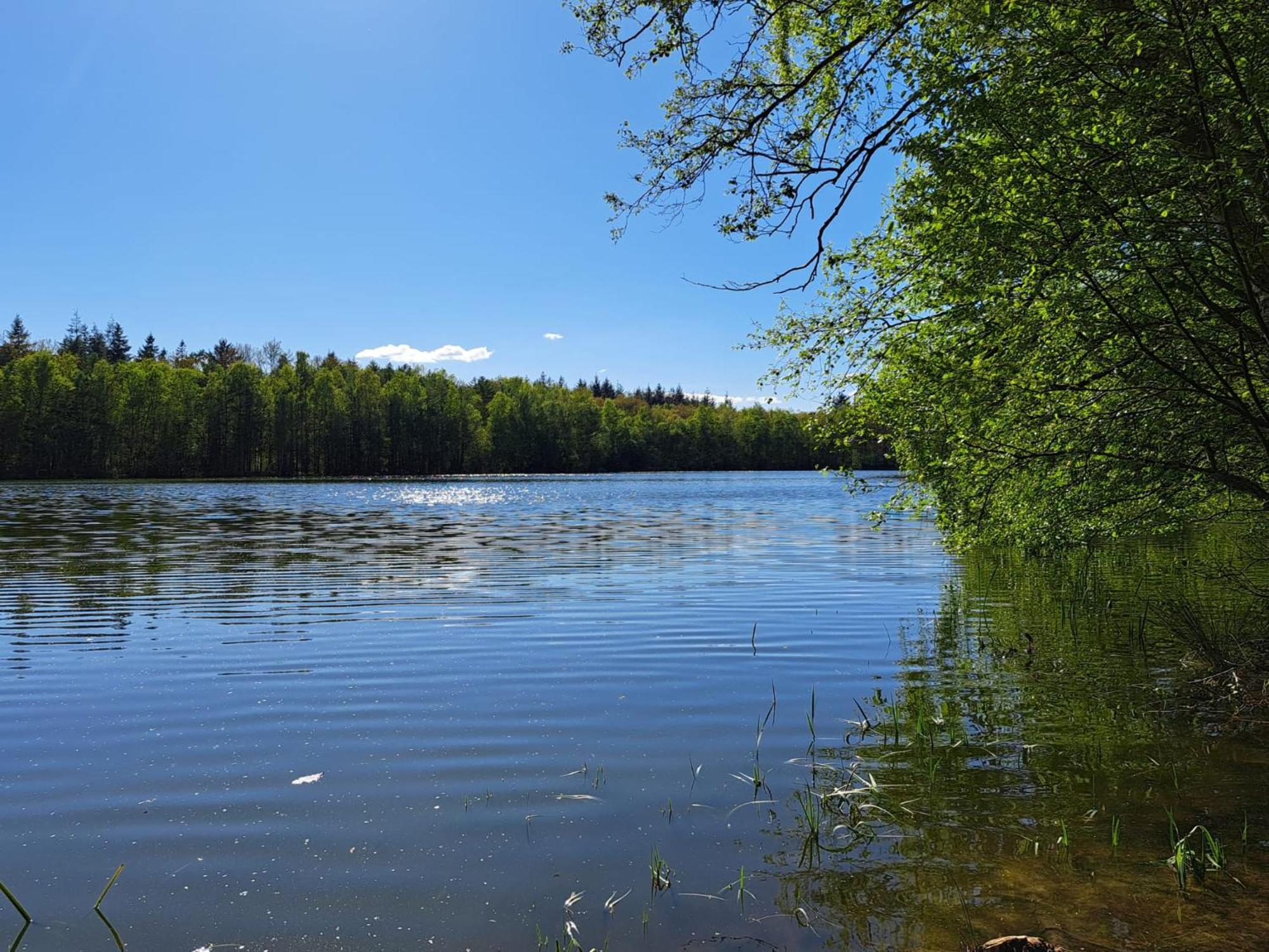 Natuurhuisje Meppen Экстерьер фото
